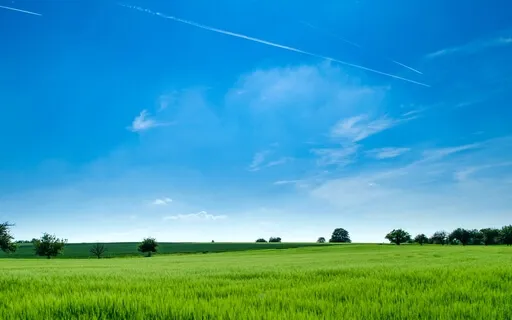 Connect With The Akashic Records (417Hz)