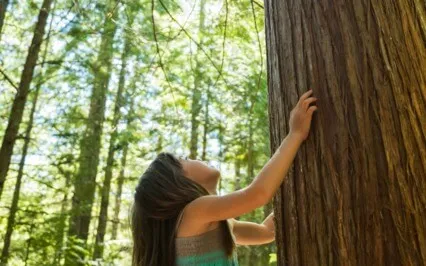 Connect With The Divine Feminine Morning Meditation