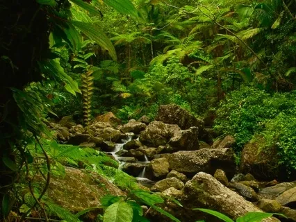 Connect With The Elements