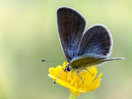 Connect With The Healing Energy & The Wisdom Of Your Heart