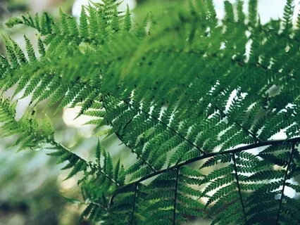 Connect With The Magic Of Your Breath