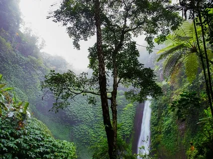 Connect With The Nature Inside Of You