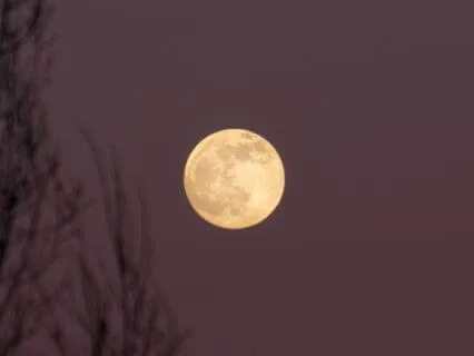 Connect With The Power Of The Full Moon