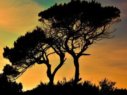 Connect With The Universe - Meditation Music