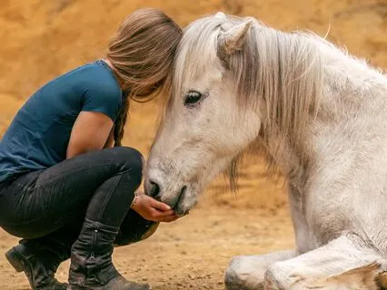 Connect With Your Animal's Spirit