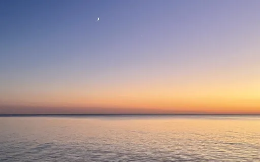 Connect With Your Body & Breath