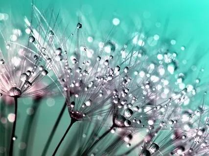 Connect With Your breath