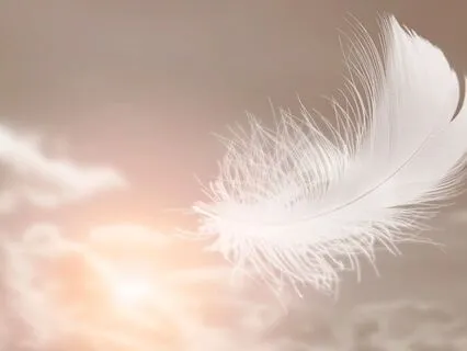 Connect With Your Core Essence