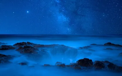 Connect With Your Creative Wellspring Visualization