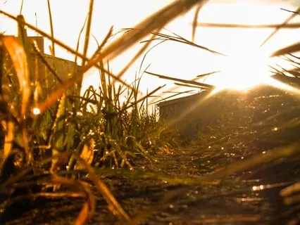 Connect With Your Divine Committee