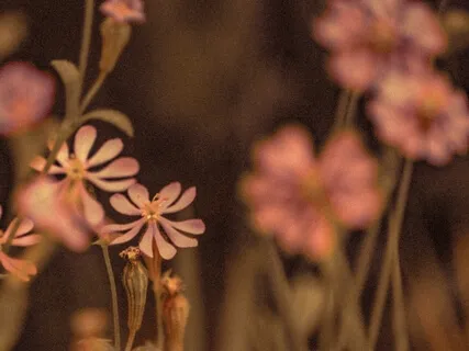 Connect With Your Emotions