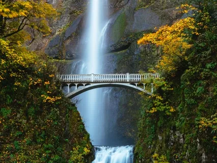 Connect With Your Higher Self 