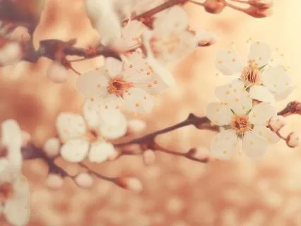 Connect With Your Higher Self | Expand Your Awareness