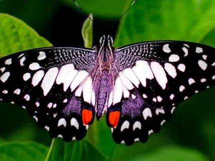 Connect With Your Higher Self