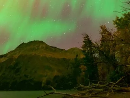 Connect With Your Ideal Reality