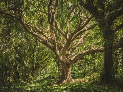 Connect With Your Inner Being