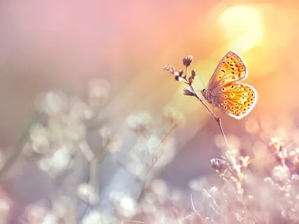 Connect With Your Inner Resources 