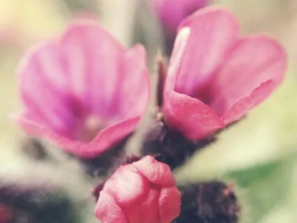 Connect With Your Intuition During Your Menstrual Phase