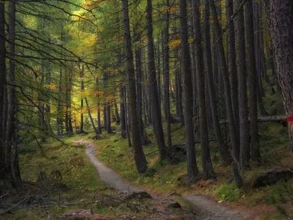 Connect With Your Loved Ones In Spirit