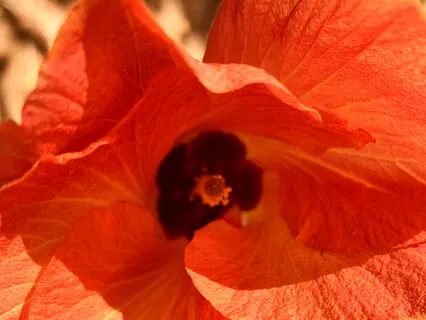 Connect With Your Soul