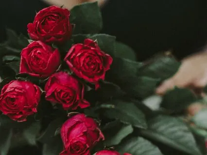 Connect With Your Spirit Guide Meditation