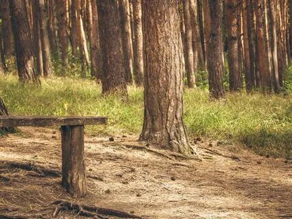 Connect With Your Spirit Guides