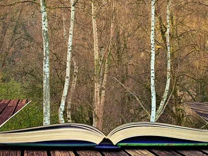 Connect With Your Story Meditation