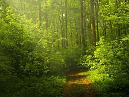 Connect With Your Strongest Self