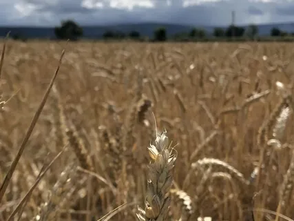 Connected To Heart And Life