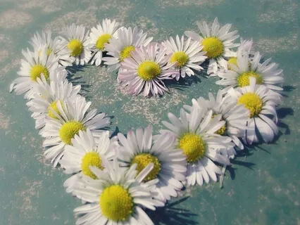 Connecting & Thanking Your Body