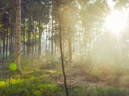 Connecting Body, Mind, And Soul In Peaceful Meditation