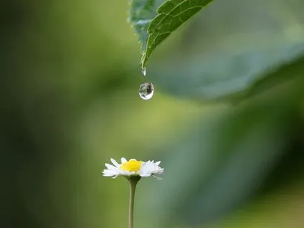 Connecting Consciously With Source Energy