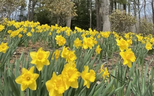 Connecting Heaven And Earth