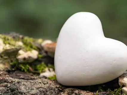 Connecting Into Your Heart