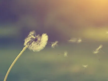 Connecting Mind & Body With Breath