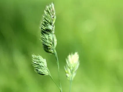 Connecting The Breaths