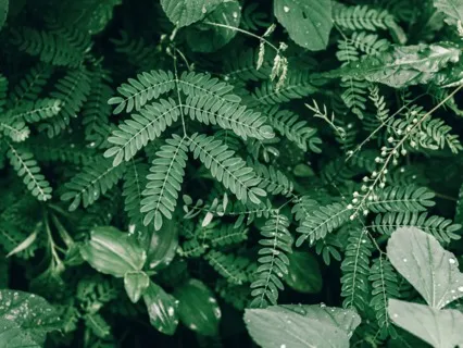 Connecting The Heart And Root Chakra