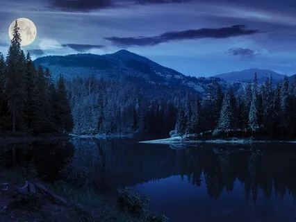 Connecting The Realms (Long Sleep Bedtime Story)