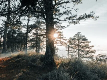 Connecting Through The Hidden Chakra