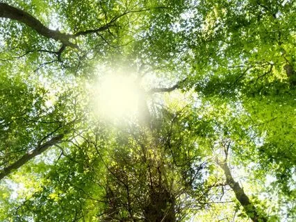 Connecting To A Higher Power For Right Choices And Change