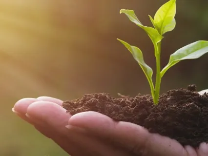 Connecting To Abundance - Long Drum Journey