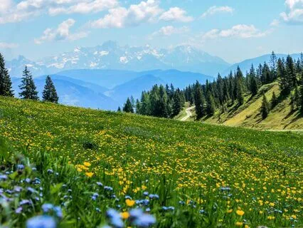 Connecting To Abundance