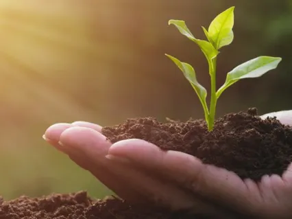 Connecting To Abundance - Short Drum Journey