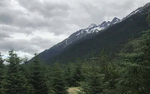 Connecting To Breath Meditation