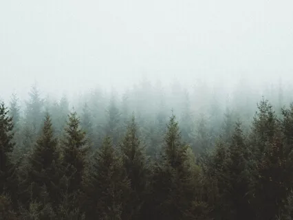 Connecting To Breath 