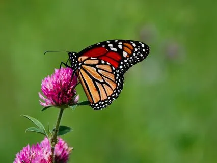 Connecting To Divine Love