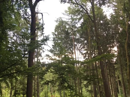 Connecting To Enoughness