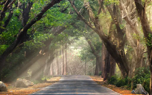 Connecting To Gratitude