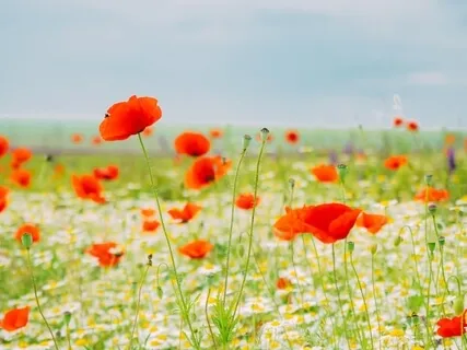 Connecting To Guidance From The Other Side 