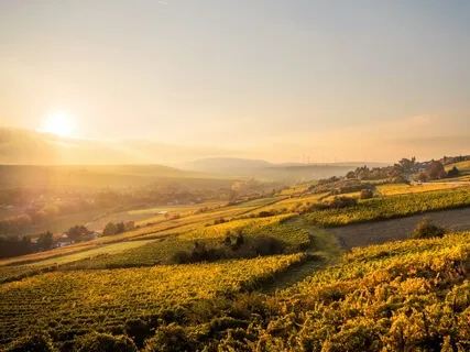 Connecting To The Inner Healer 